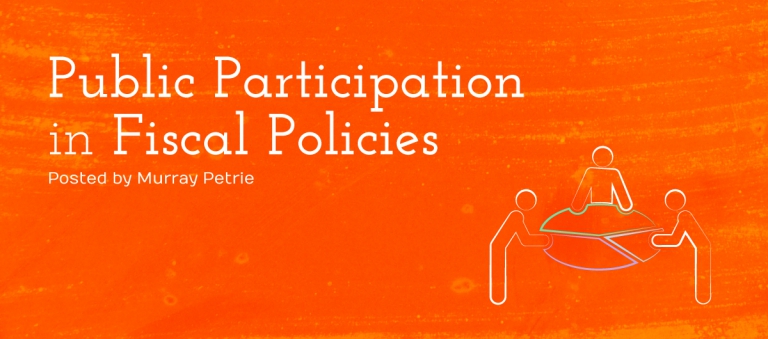 What is public participation in fiscal policy and why is it important?